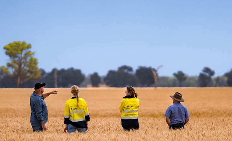 Neoen developing 440 MWp solar farm in NSW,&nbsp;Australia